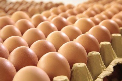 陕西鸡蛋检测价格,鸡蛋检测机构,鸡蛋检测项目,鸡蛋常规检测